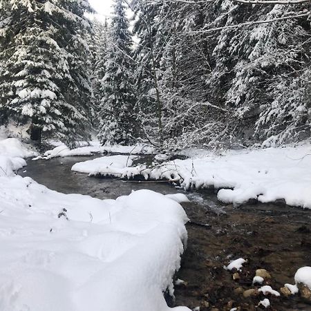 布拉索夫Hot Tub Chalet Retreat别墅 外观 照片