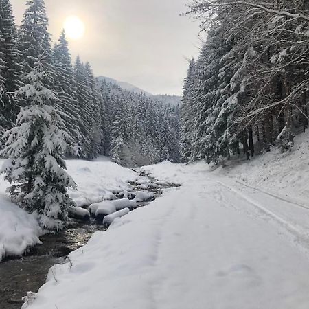 布拉索夫Hot Tub Chalet Retreat别墅 外观 照片