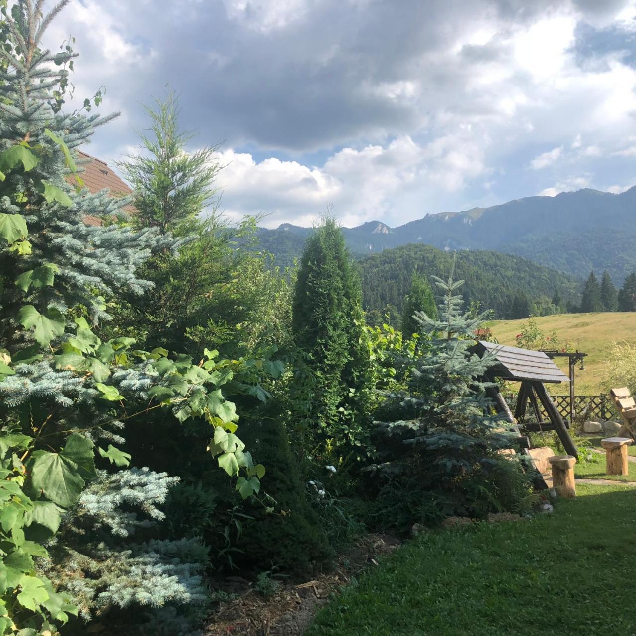 布拉索夫Hot Tub Chalet Retreat别墅 外观 照片
