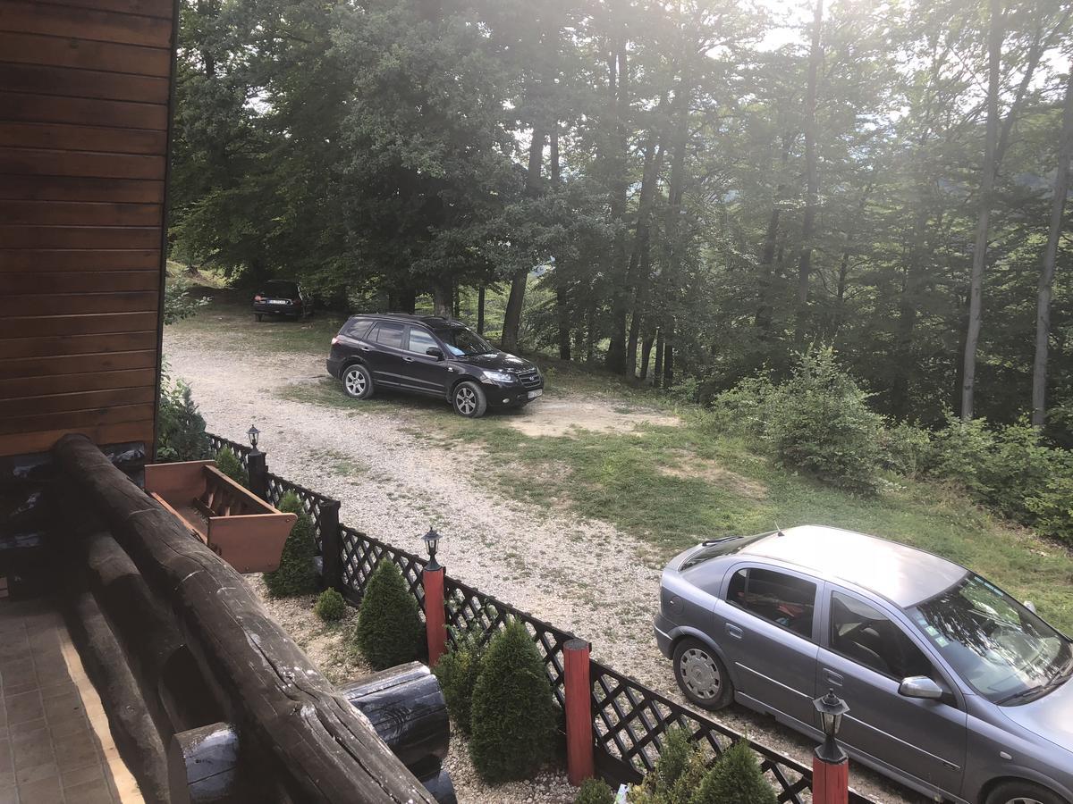 布拉索夫Hot Tub Chalet Retreat别墅 外观 照片